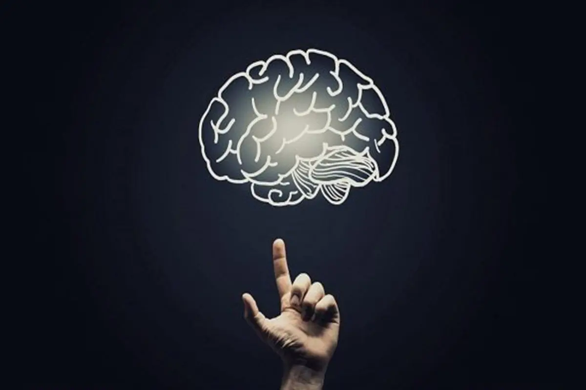 نقش آموزش در پیشرفت پایگاه خبری رج
